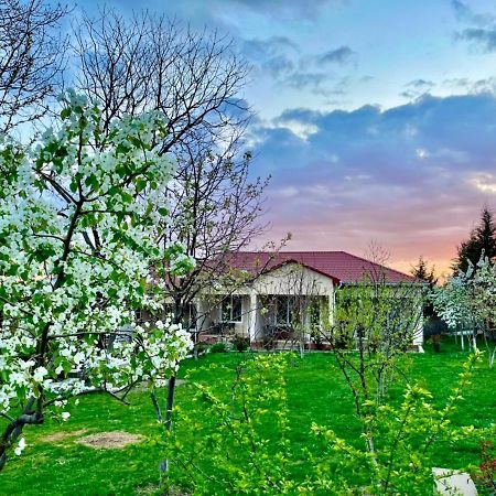 One Dom Cottage Gabala Ngoại thất bức ảnh