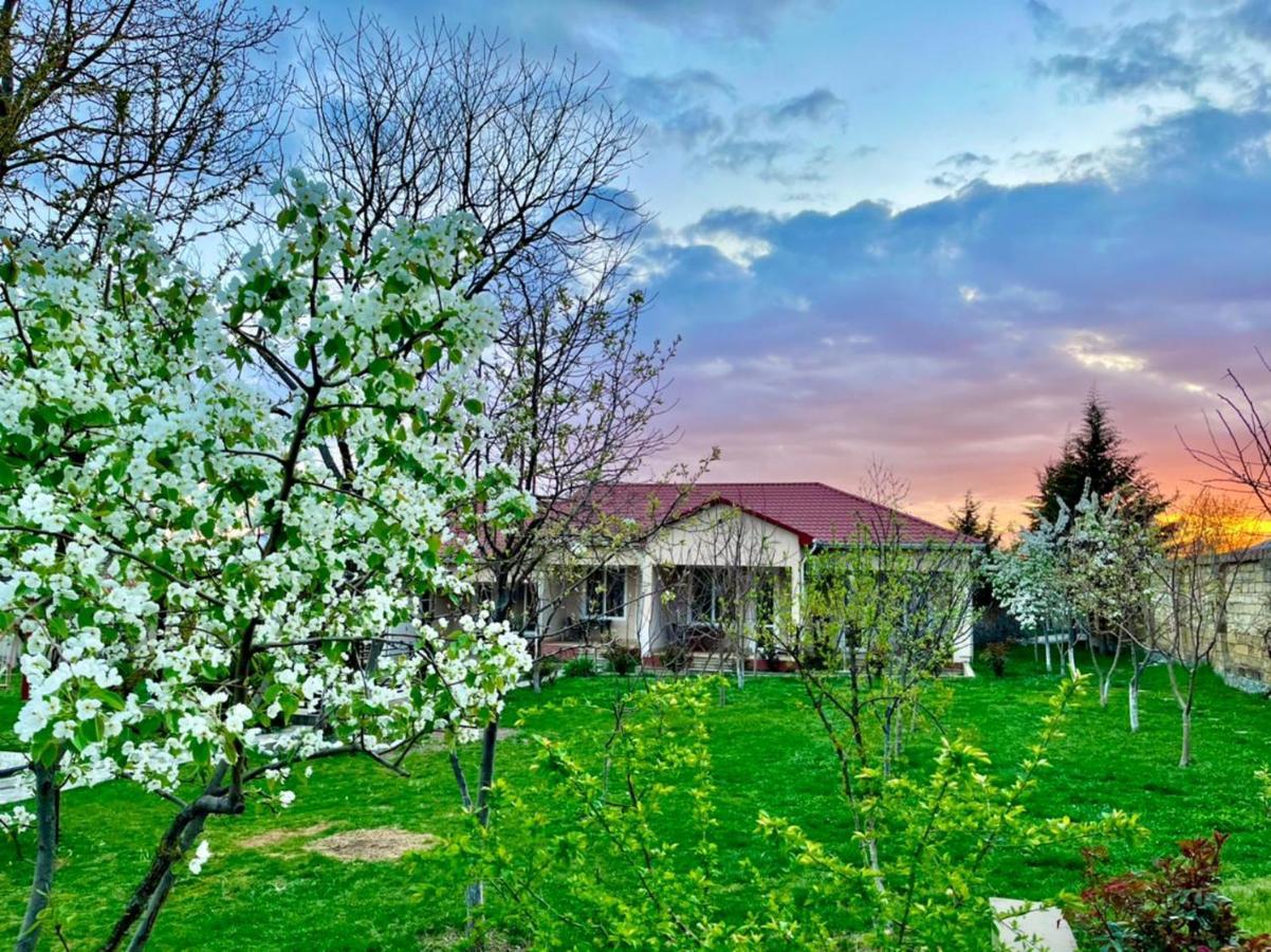 One Dom Cottage Gabala Ngoại thất bức ảnh