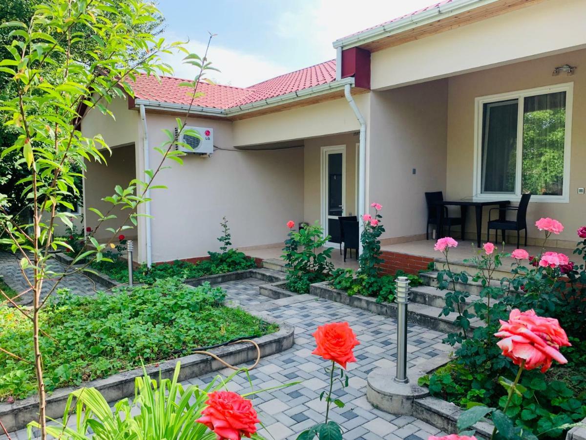 One Dom Cottage Gabala Ngoại thất bức ảnh
