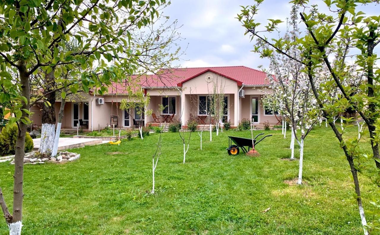 One Dom Cottage Gabala Ngoại thất bức ảnh